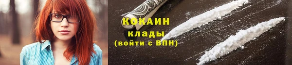 кокс Вяземский