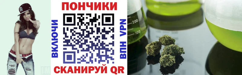 Бошки Шишки план Далматово