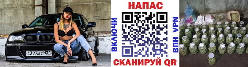 продажа наркотиков  кракен зеркало  Бошки Шишки MAZAR  Далматово 